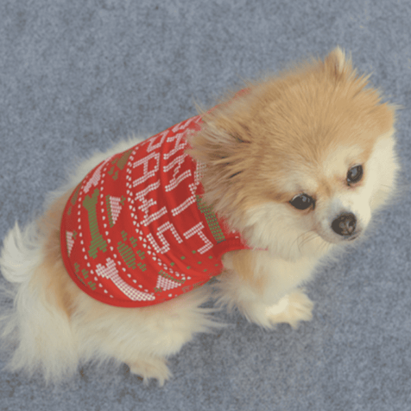 Dog Christmas vest - Fashionlinko