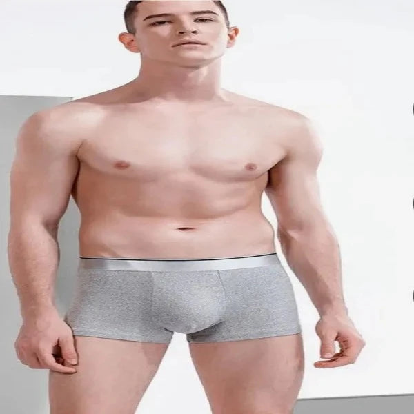 Boxer Male panties Men's Underwear Breathable Sexy Man Boxer Solid Underpants Comfortable Plus Size Boxer shorts Lot L-5XL Fashionlinko.com